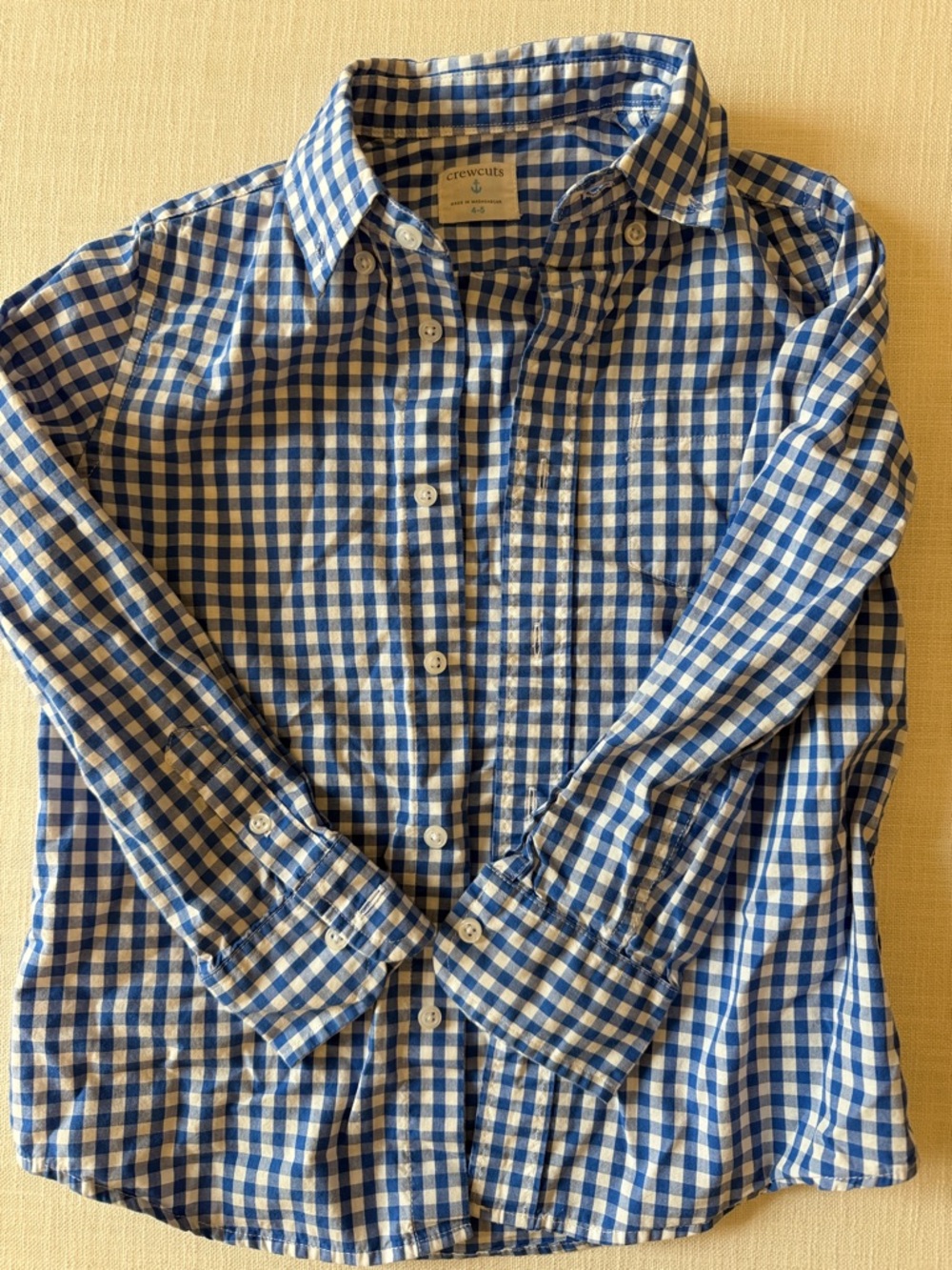 Crewcuts Blue and White Gingham Button-Down Shirt
